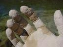 Marco Munari human hand